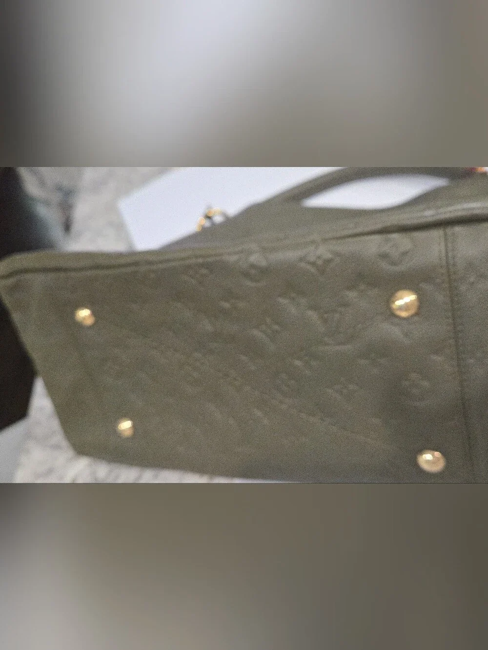 Louis Vuitton authentic louis